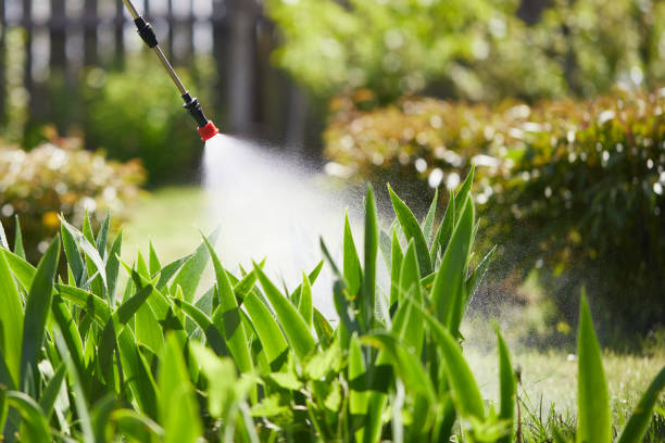 Tamper-Resistant Bait Stations for Rodents in Montgomery