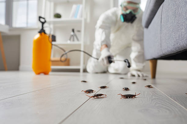Commercial Rodent Management in Montgomery